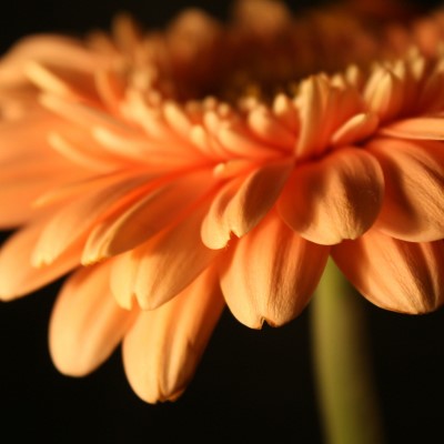 1920 x 1080 HD Wallpapers 3529